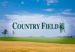 Country Field